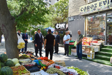 İcra başçısı əraziyə baxış keçirib