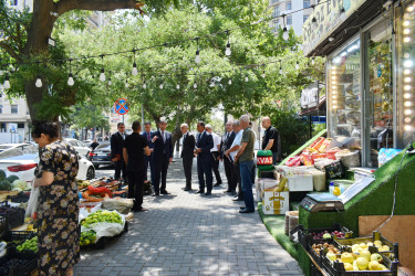 İcra başçısı əraziyə baxış keçirib