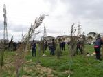 Ümumrespublika yaşıllaşdırma marafonu çərçivəsində Yasamal rayonunda keçirilən ağacəkmə aksiyası