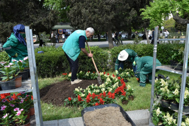 Yasamal rayonunda abadlıq işləri