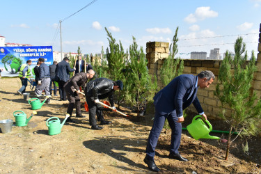 Yasamal rayonunda növbəti ekoloji aksiya keçirilib