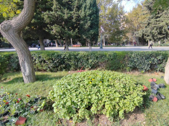 Yasamalda abadlıq işləri davam etdirilir