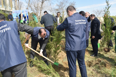 Yasamal rayonunda növbəti ekoloji aksiya