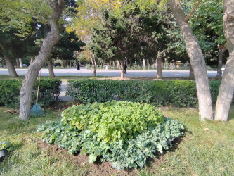 Yasamalda abadlıq işləri davam etdirilir