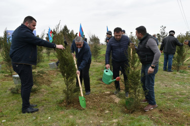 Yasamal rayonunda ekoloji aksiya keçirilib