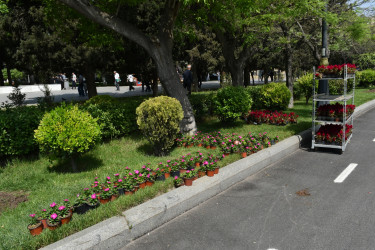 Yasamal rayonunda abadlıq işləri