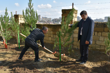 Yasamal rayonunda növbəti ekoloji aksiya keçirilib