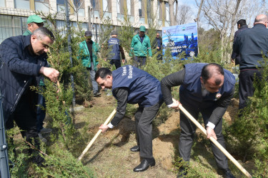 Yasamal rayonunda növbəti ekoloji aksiya