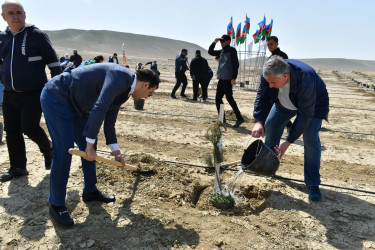 Yasamal rayon ictimaiyyəti ekoloji aksiya həyata keçirib