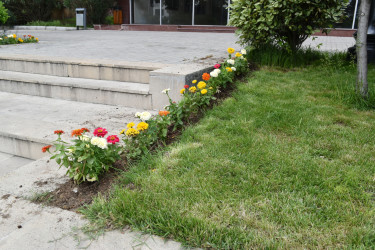 Yasamal rayonunda abadlıq işləri aparılır