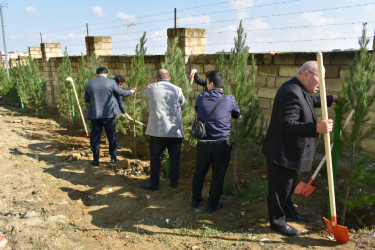 Yasamal rayonunda növbəti ekoloji aksiya keçirilib