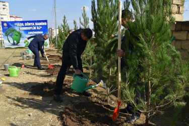 Yasamal rayonunda növbəti ekoloji aksiya keçirilib