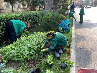 Yasamalda abadlıq işləri davam etdirilir