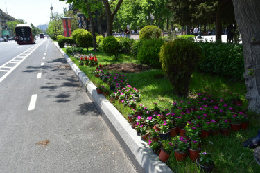 Yasamal rayonunda abadlıq işləri