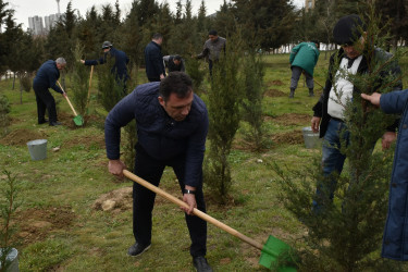 Yasamal rayonunda ekoloji aksiya keçirilib