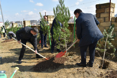 Yasamal rayonunda növbəti ekoloji aksiya keçirilib