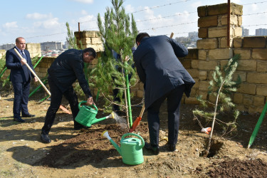 Yasamal rayonunda növbəti ekoloji aksiya keçirilib