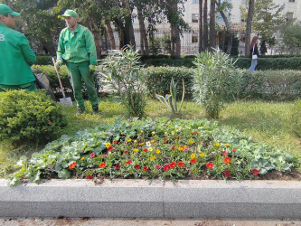 Yasamalda abadlıq işləri davam etdirilir