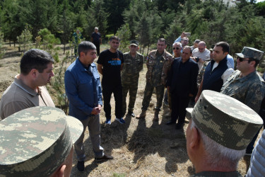 Yasamal rayonunda agacəkmə aksiyası keçirilib