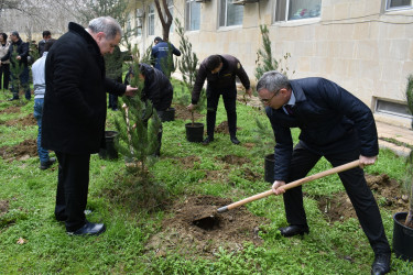 “Yaşıl dünya naminə həmrəylik ili” çərçivəsində növbəti ağacəkmə aksiyası keçirilib