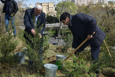 Yasamal rayonunda növbəti ekoloji aksiya