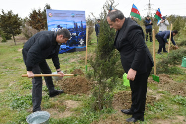 Yasamal rayonunda ekoloji aksiya keçirilib