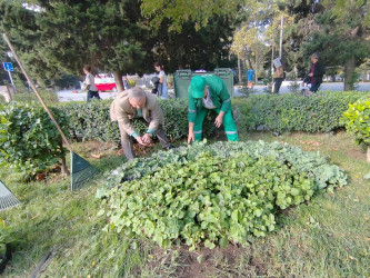 Yasamalda abadlıq işləri davam etdirilir