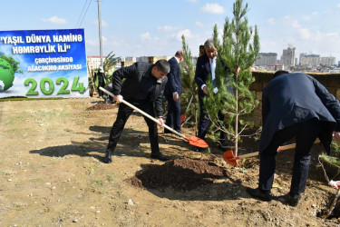 Yasamal rayonunda növbəti ekoloji aksiya keçirilib