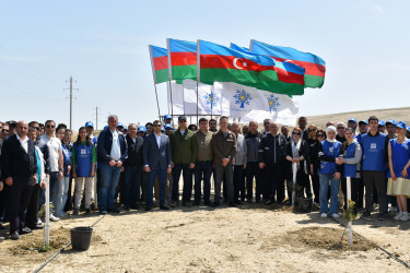 Yasamal rayon ictimaiyyəti ekoloji aksiya həyata keçirib