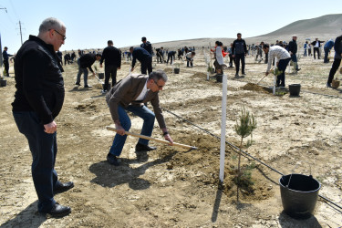 Yasamal rayon ictimaiyyəti ekoloji aksiya həyata keçirib