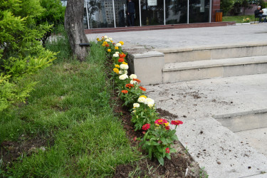 Yasamal rayonunda abadlıq işləri aparılır