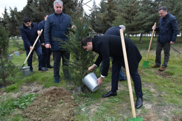 Yasamal rayonunda ekoloji aksiya keçirilib