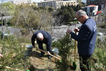 Yasamal rayonunda növbəti ekoloji aksiya