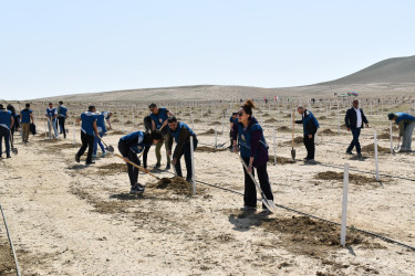 Yasamal rayon ictimaiyyəti ekoloji aksiya həyata keçirib
