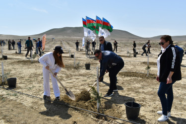 Yasamal rayon ictimaiyyəti ekoloji aksiya həyata keçirib