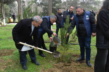 “Yaşıl dünya naminə həmrəylik ili” çərçivəsində növbəti ağacəkmə aksiyası keçirilib