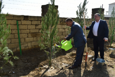 Yasamal rayonunda növbəti ekoloji aksiya keçirilib