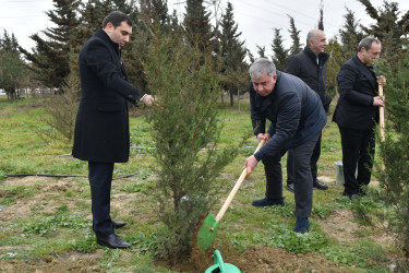Yasamal rayonunda ekoloji aksiya keçirilib