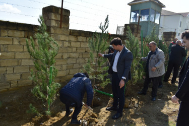 Yasamal rayonunda növbəti ekoloji aksiya keçirilib