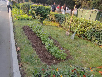 Yasamalda abadlıq işləri davam etdirilir