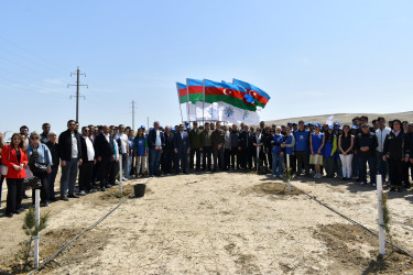 Yasamal rayon ictimaiyyəti ekoloji aksiya həyata keçirib