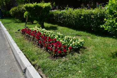 Yasamal rayonunda abadlıq işləri