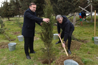 Yasamal rayonunda ekoloji aksiya keçirilib