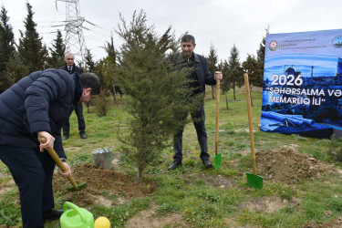 Yasamal rayonunda ekoloji aksiya keçirilib