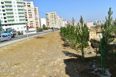 Yasamal rayonunda növbəti ekoloji aksiya keçirilib