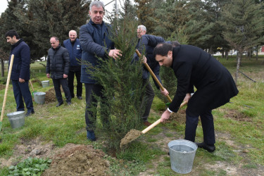 Yasamal rayonunda ekoloji aksiya keçirilib