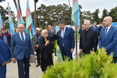 Vətən müharibəsinin şəhidləri anılıb