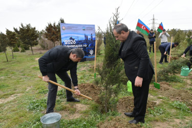 Yasamal rayonunda ekoloji aksiya keçirilib