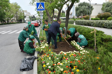 Yasamal rayonunda abadlıq işləri aparılır