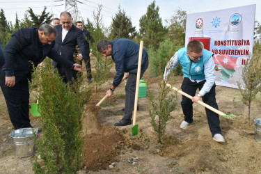 Yasamal rayonunda genişmiqyaslı ağacəkmə aksiyası keçirilib